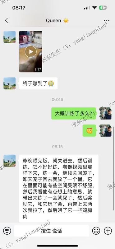 2个月阿拉线上教学反馈