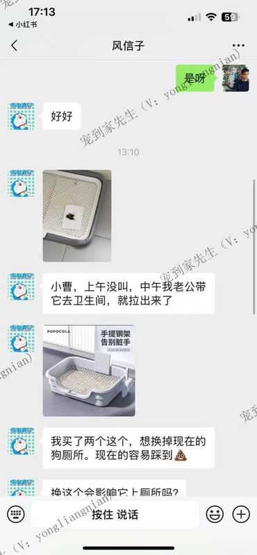 线上教学3个月柯基反馈