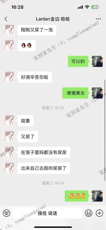 苏州1岁金边反馈