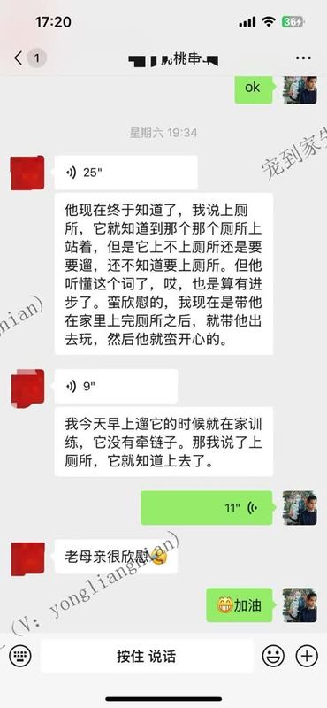苏州8个月串串上门反馈