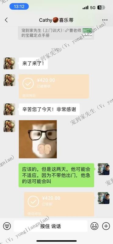 苏州5个月喜乐蒂上门反馈