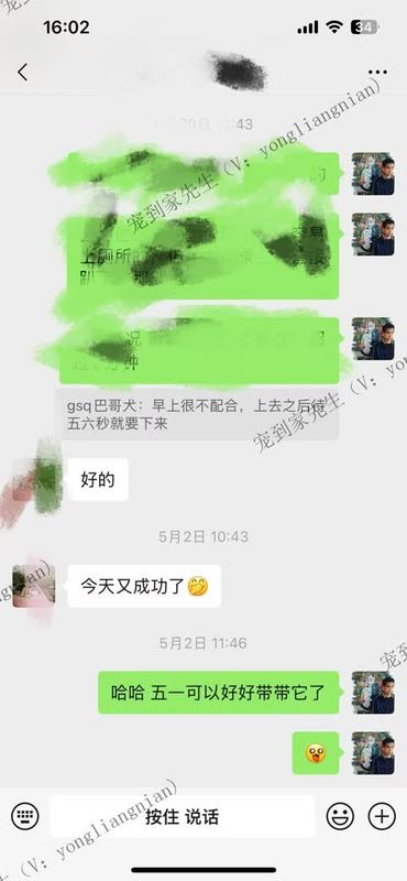 苏州2个月八哥上门反馈