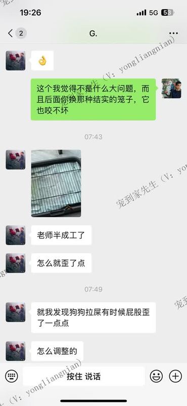 苏州3个月边牧上门反馈-小红书也有