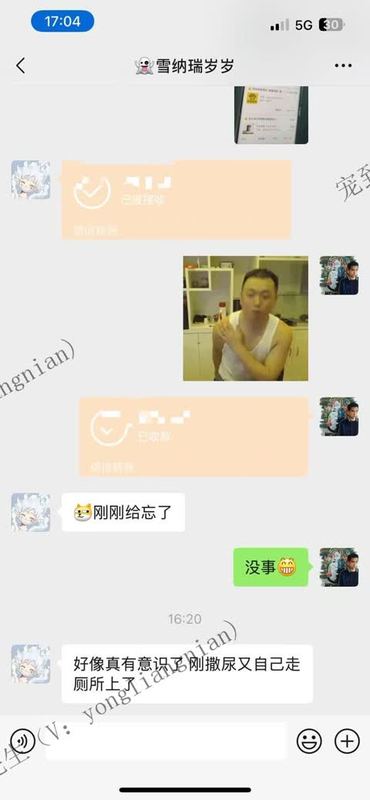 昆山2个月雪纳瑞上门反馈