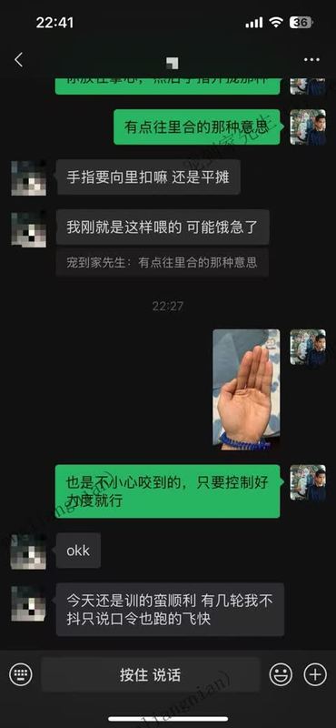 无锡3个月阿拉斯加上门反馈