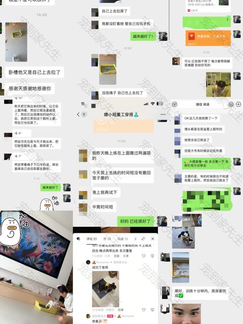 成功反馈合集1