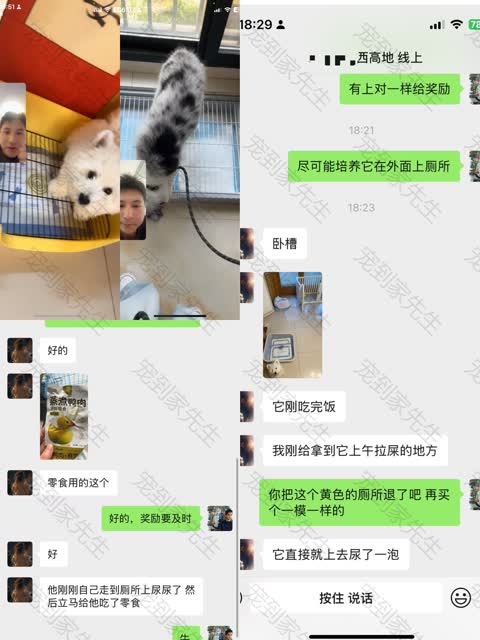成功反馈合集2