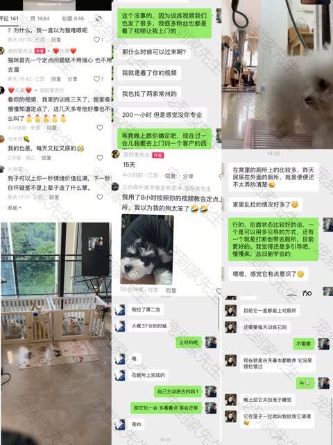 成功反馈合集4