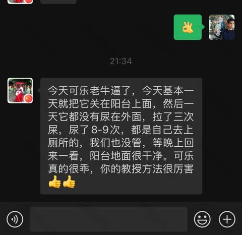 无锡查理王猎犬效果很好老夫妻