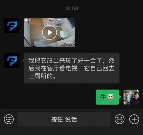 无锡3个月雪纳瑞想去寄养的