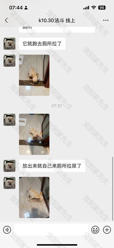 线上教学法斗案例1 (2)
