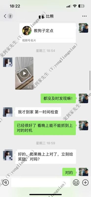 线上比熊定点反馈