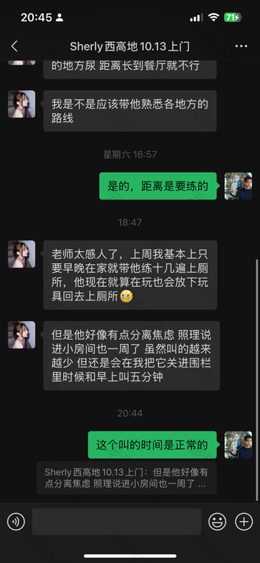 苏州迷你西高地厚米