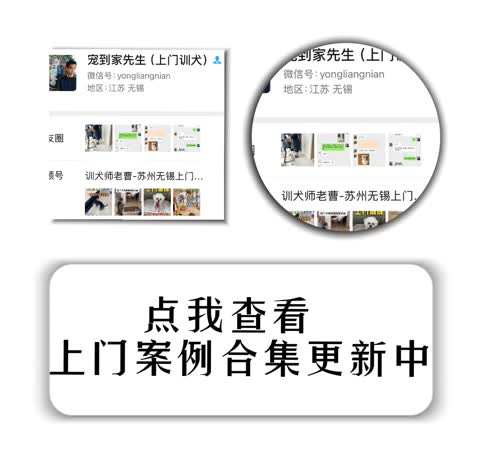 主人反馈朋友圈不定期更新