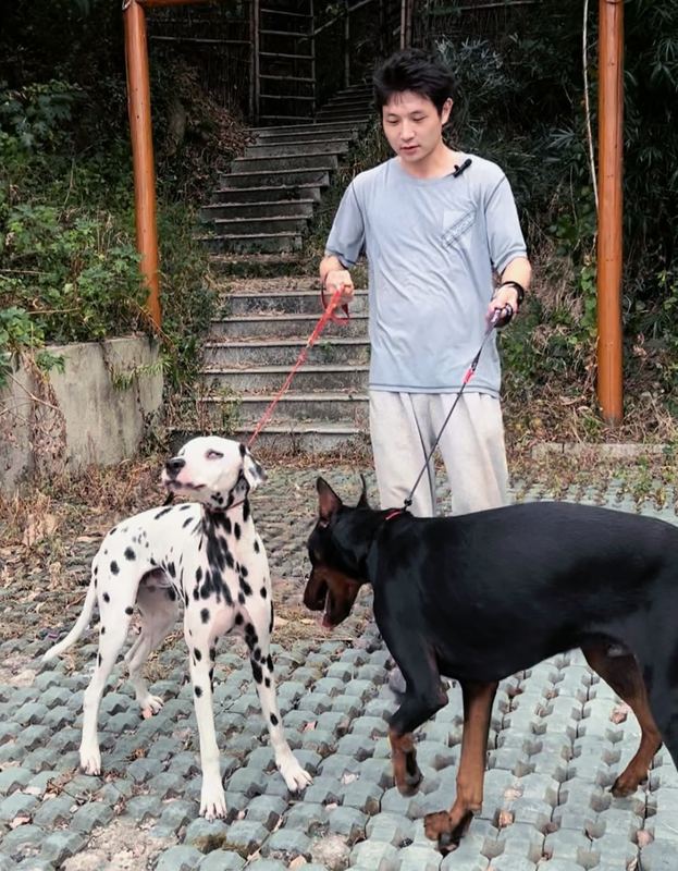 活动掠影