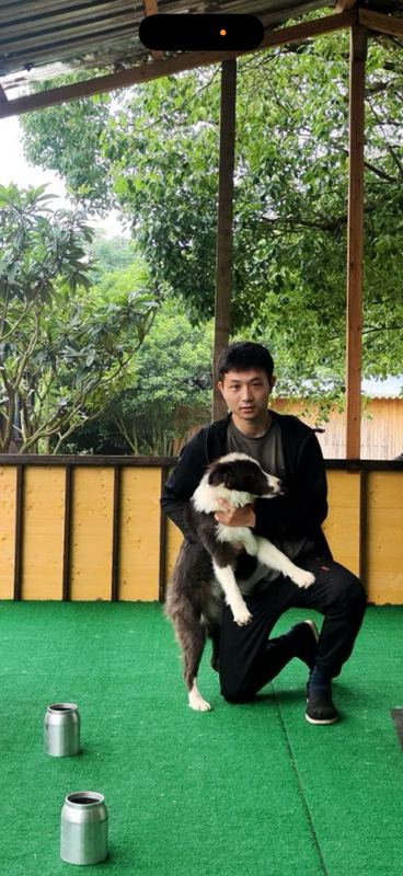 活动掠影