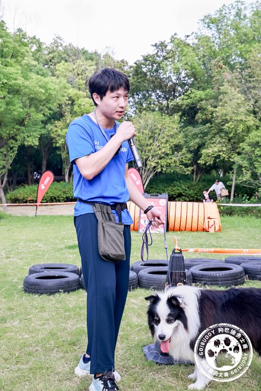 曹明朗上门训犬现场