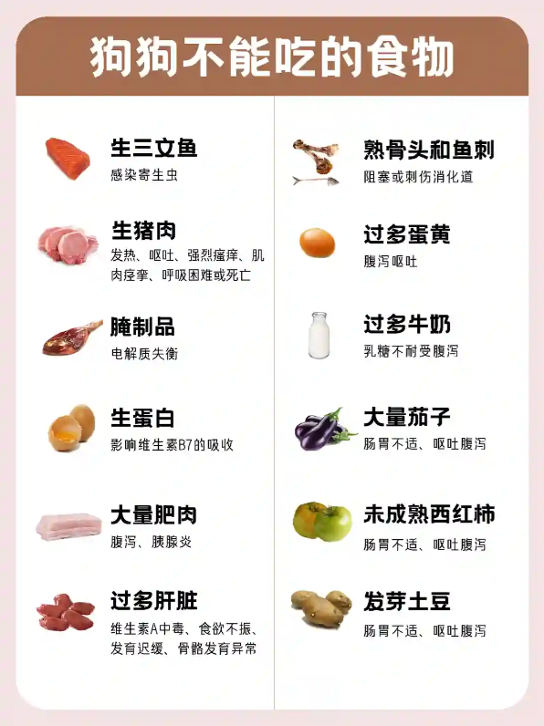 图片是一张关于狗狗不能吃的食物清单。左侧列出生三文鱼、生猪肉、腌制品、生蛋白、大量肥肉、过多肝脏等食物,标注其可能引发的健康问题,如感染寄生虫、发热呕吐等。右侧则有熟骨头和鱼刺、过多蛋黄、过多牛奶、大量茄子、未成熟西红柿、发芽土豆等,说明其可能造成的阻塞、消化道问题、腹泻呕吐等。该图与文档中“喂养:别好心办坏事”部分上下文对应,直观呈现了不能喂食的狗狗食物种类及危害。