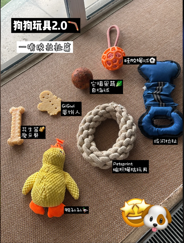 图片展示了一组狗狗玩具,位于“狗狗玩具2.0 一啃咬拉扯篇”标题下。玩具包括“它幅果蔬自嗨球”“GiGwi姜饼人”“花生酱磨牙骨”“摇洞拉扯”“编织塌结玩具”等,每种玩具旁配有对应名称。图片与上下文紧密相关,上下文在介绍狗狗定点上厕所训练时,提到“咬玩具时热情夸它”,此图直观呈现了多种适合狗狗啃咬的玩具,为训练提供参考。