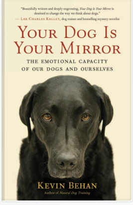 图片为《Your Dog Is Your Mirror》一书的封面。封面上方有书名及作者名,下方是作者Kevin Behan的签名。封面上是一只黑色的拉布拉多犬,它直视镜头,表情专注。封面上方有书评语“Beautifully written and deeply engrossing, Your Dog & Your Mirror is destined to change the way we think about dogs.”,作者是Lee Charles Kelley,他是一位警犬训练师、狗游客和畅销推理小说家。该书揭示了人狗情感镜像关系,是宠物行为学经典。